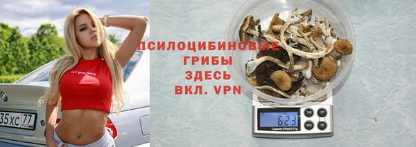 стафф Алексин