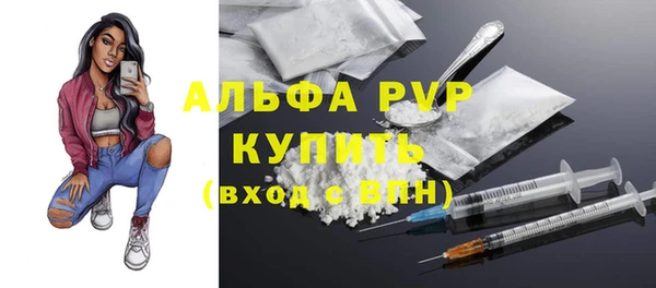 стафф Алексин