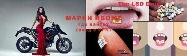 a pvp Алзамай