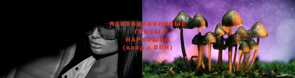 a pvp Алзамай