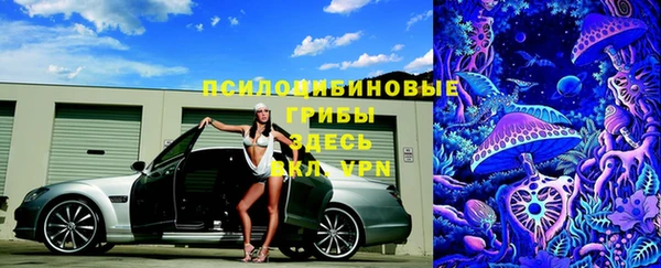 спайс Алексеевка