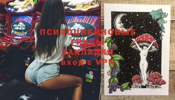 стафф Алексин